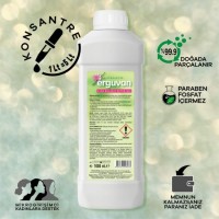 ERGUVAN ELDE BULAŞIK DETERJANI KONSANTRE ERGUVAN ELDE BULAŞIK DETERJANI KONSANTRE